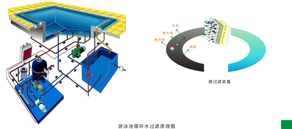游(yóu)泳池水循(xún)环净(jìng)化处理工程